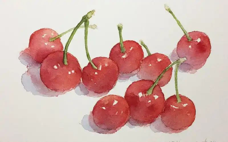 水彩手绘樱桃季绘画过程