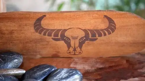 上方都用茅草装点,门窗的防盗设施都用原木,铝合金做成了具有佤族特色