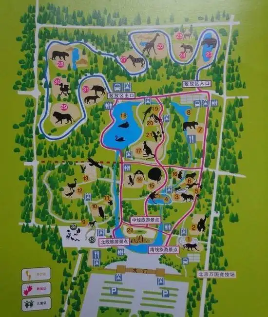 北京野生动物园一日游