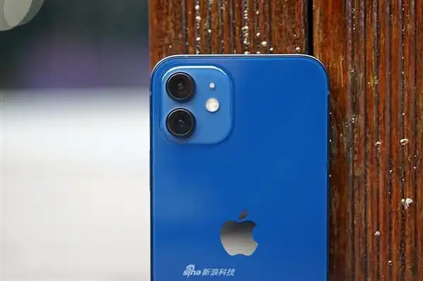 iphone 12蓝色引热议:真机图赏感受下_手机新闻-中关村在线