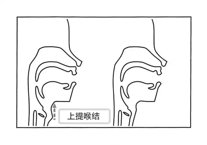 成为女孩子的声音!【23】喉结的作用定位