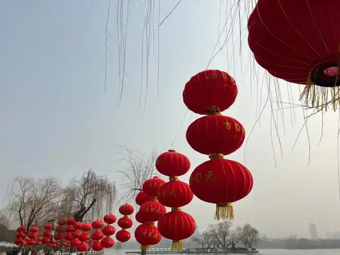 大红灯笼高高挂新的一年指定发