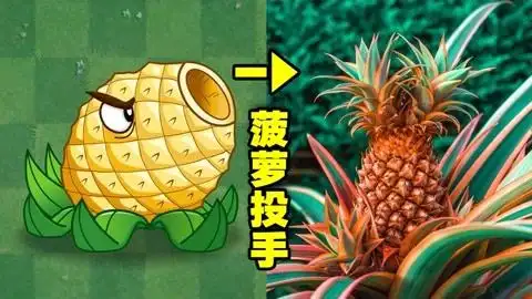 植物大战僵尸:庄先森解说植物家族成长史 菠萝投手!伤害很高?