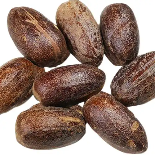 香料大全香果100克川菜烧菜炖菜卤菜汤料火锅花椒