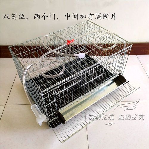 鹌鹑家用下蛋鸟笼滚蛋养殖笼子清理卫生方便笼子