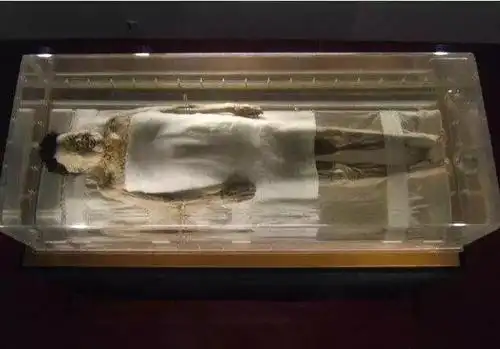 有人出重金购买马王堆女尸的一根头发,20 多年后原因曝光惊呆国人!