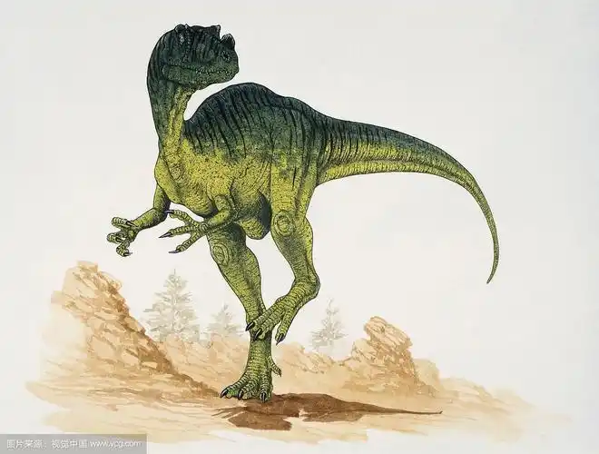 原角鼻龙(proceratosaurus)