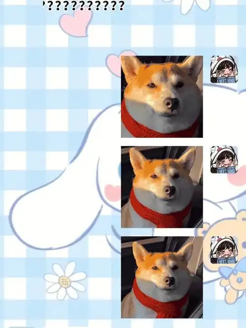 我和狗蛋儿的日常