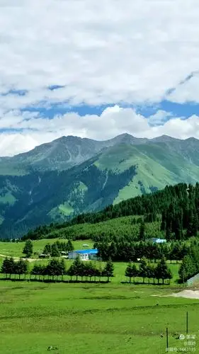 2018行走伊犁之特克斯县琼库什台草原