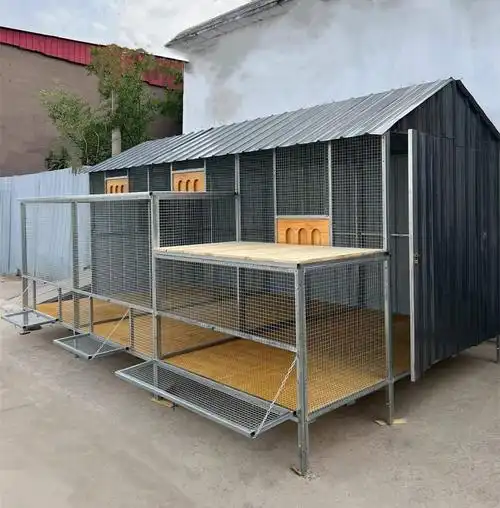 拼装鸽棚定制鸽舍户外养殖鸽子笼大型简易组装鸽棚防鼠防猫可拆卸