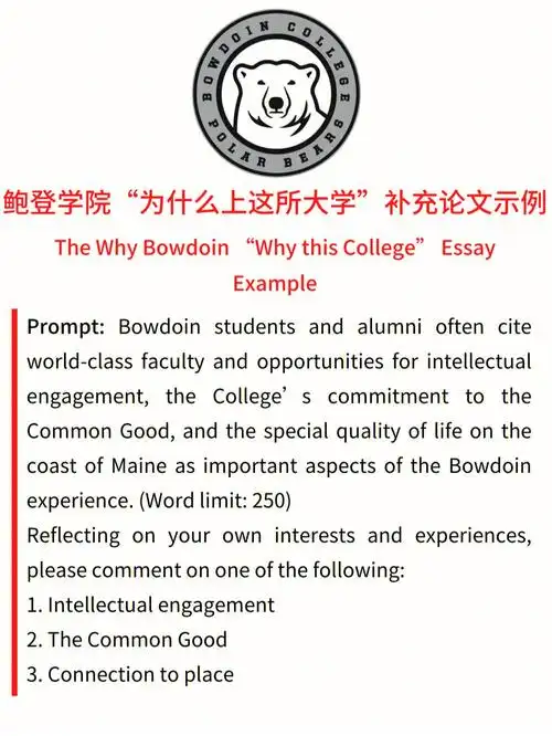 鲍登学院为什么上这所大学补充论文分享