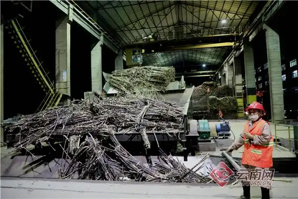 云南最大跨境糖厂顺利复产