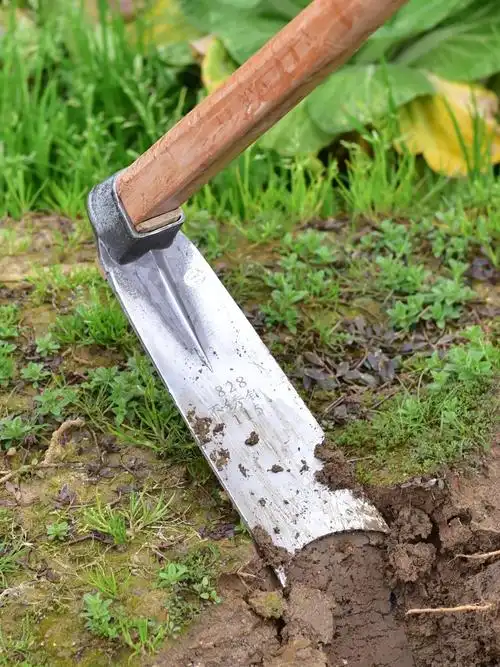 挖笋冬笋探测高精度神器多功能锄头农具种菜两用锄头