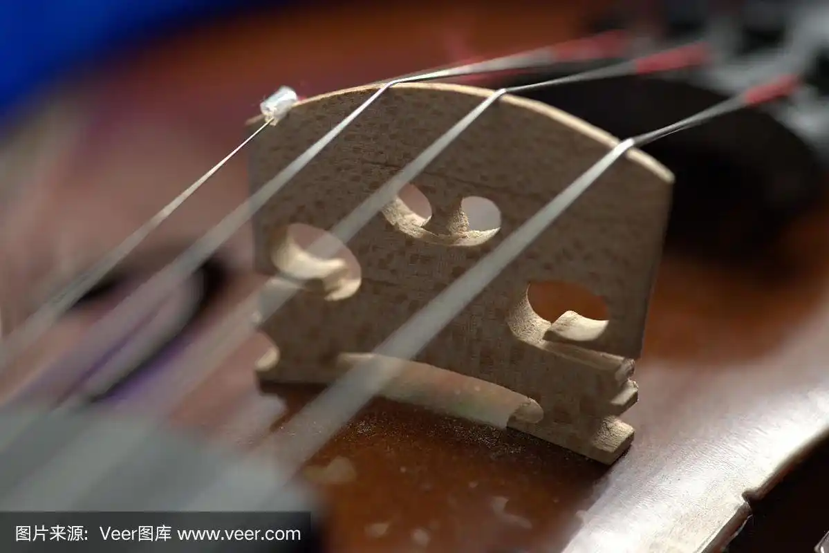 经典的小提琴弓弦乐器