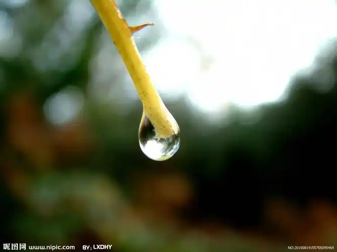 滴水图片