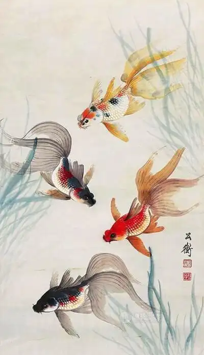 国画 金鱼