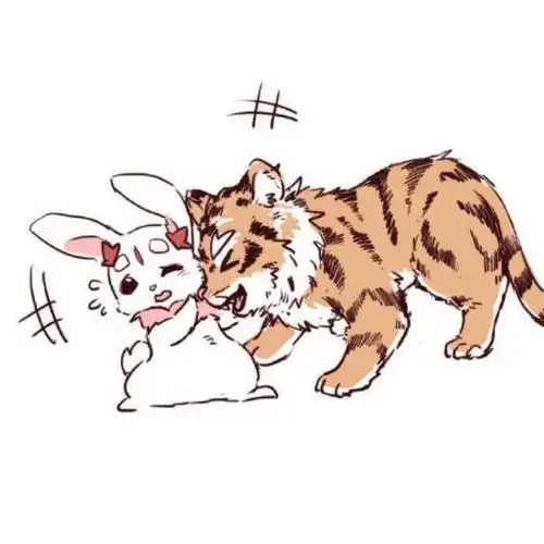 小老虎和小白兔