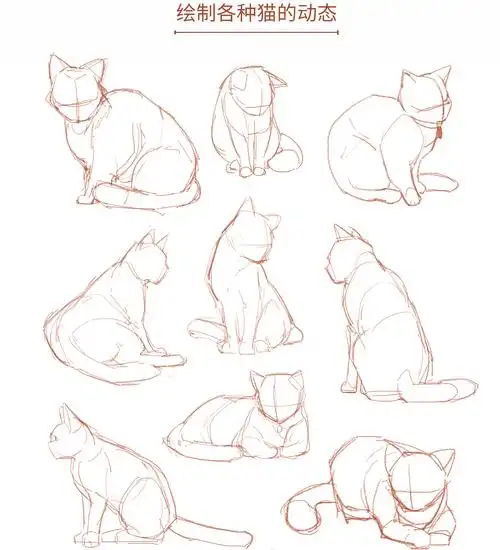 原创教程画猫全干货会画猫咪真的可以为所欲为呢