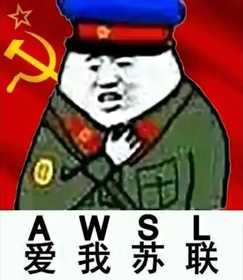 你们有哪些关于苏联的表情包(手动滑稽)?