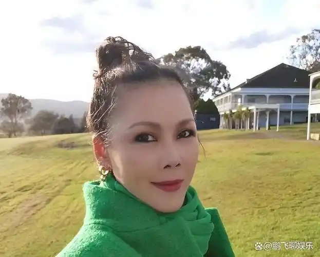 田震也走上国内挣钱国外享受的这条路