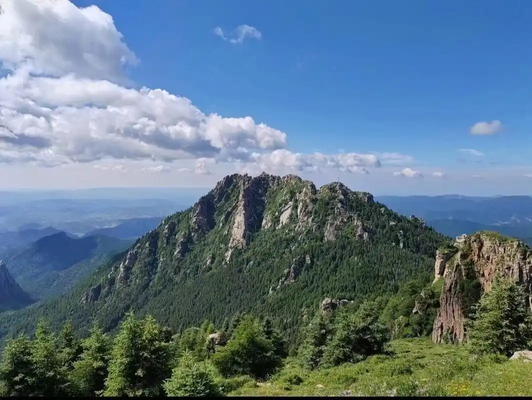 忻州直达芦芽山景区 忻州直达芦芽山景区,情人谷,马伦草原,荷叶坪!