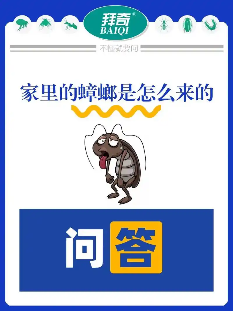 家里的蟑螂是怎么来的?