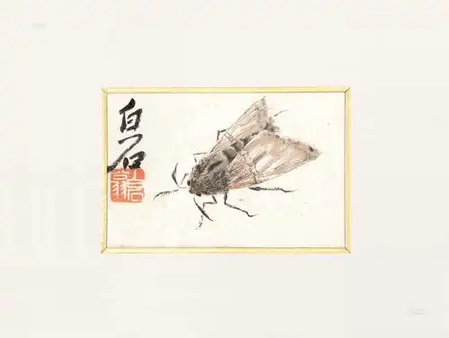 0065飞蛾镜片纸本