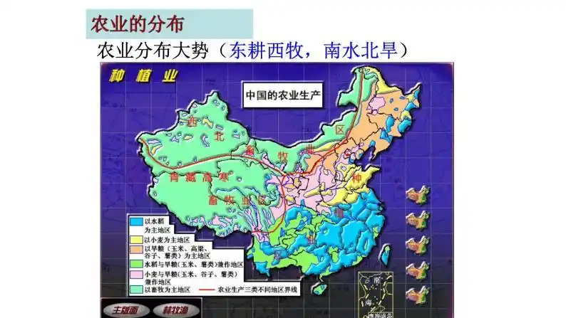 5 《中国的农业》 一轮复习课件ppt