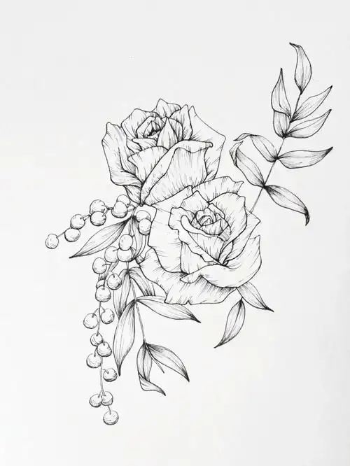 针管笔花卉线稿临摹