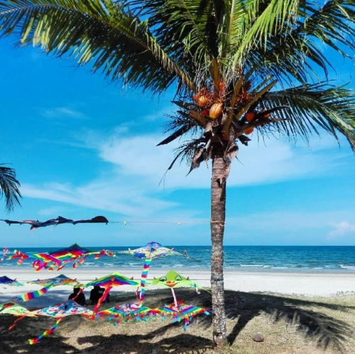 ◢ 彭亨关丹原来可以这样玩!