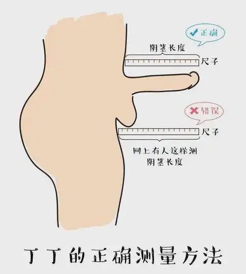 "丁丁"一般发育到几岁?_包茎_包茎介绍 - 好大夫在线