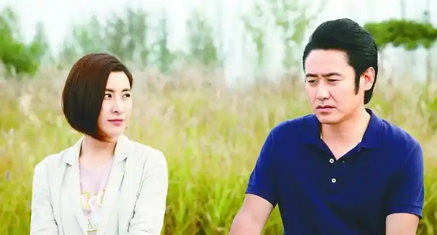 2014年,吴秀波和王雅捷主演的乡村扶贫题材的电视剧,其贴近生活的剧情