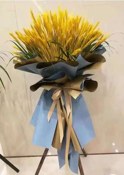 偷心之狐 麦穗 干花花束开业大麦田园装饰拍摄道具稻穗花 金麦穗50支