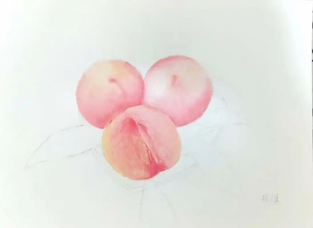 水蜜桃绘画固体水彩绘画一起来画画吧