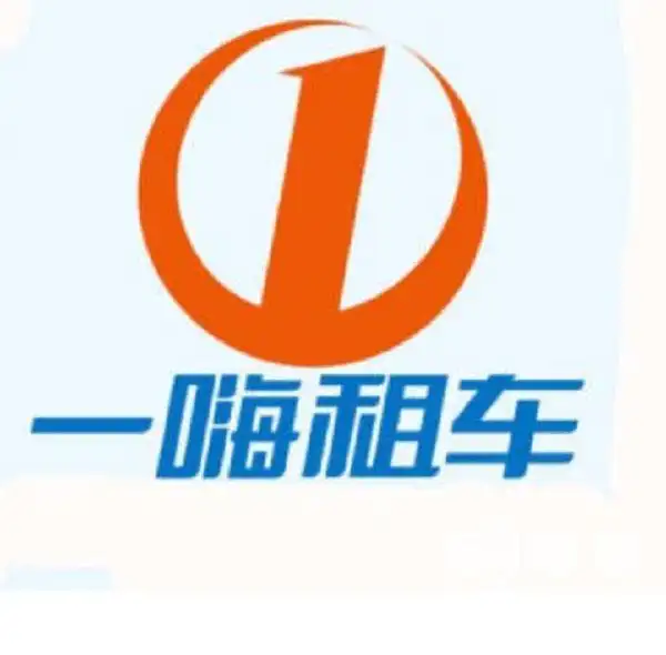 包含经济/舒适型,精英型,高端车型约200种,由于一嗨租车一直和汽车