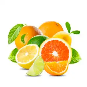 不同种类的柑橘类水果图片