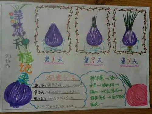 一七班种子变形记