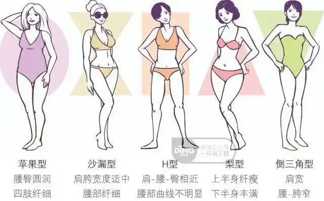 还在误会自己是水果型身材?一篇教你快速判断身型和穿搭重点