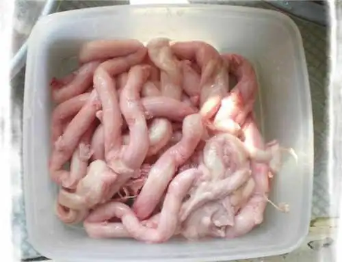 中药大全 动物类 >> 猪髓 (别名:猪髓) 简介为猪科动物猪的脊髓或骨髓