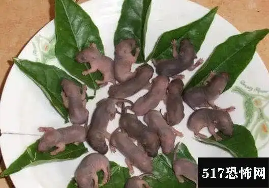 禁菜广东三吱儿简介:生吞出生还未睁眼小老鼠|神秘事件|解读-98迷科