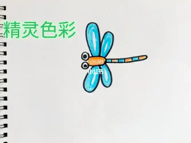 儿童简笔画视频教程蜻蜓 #可爱简笔画   #简笔画教程   #可爱简笔画