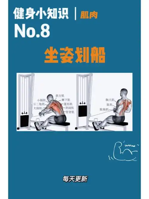 坐姿划船是练背的黄金动作,因为在我们在做这个动作的时候,只要自己的