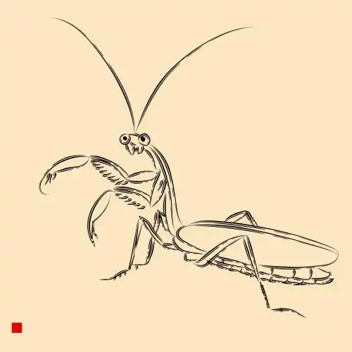 昆虫螳螂矢量工笔手绘线稿国画