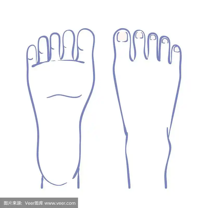 绘画插图,脚掌,可爱的,健康保健,部分