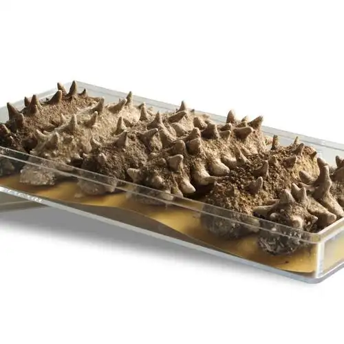 龙王府海参 海参花 新鲜冷冻海参卵 野生海参籽 500克一斤装