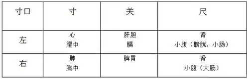中医学基础知识诊法之切诊寸口诊法