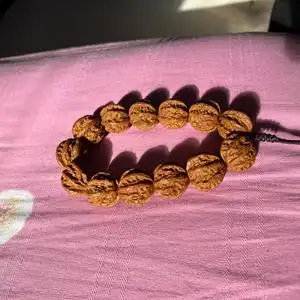 多棱大粗筋,龙脊背野生小核桃手持