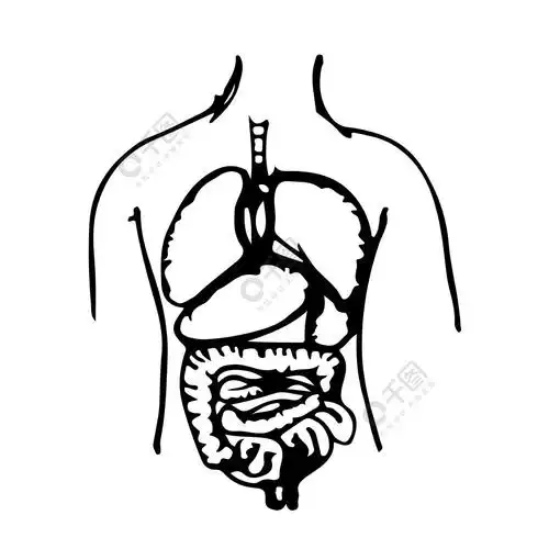 手绘身体器官图标插图涂鸦设计