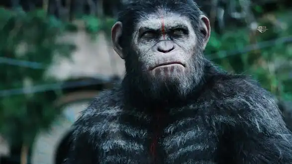10年后凯撒大帝再次袭来电影剪辑视觉震撼影视解说猩球崛起2黎明之战