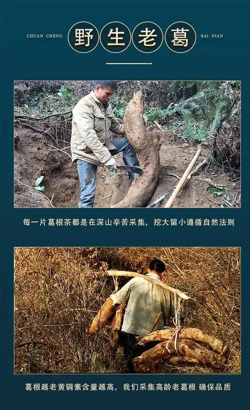 野生葛根片天然葛根茶葛根块野葛根农家柴葛根粉葛根500g中片